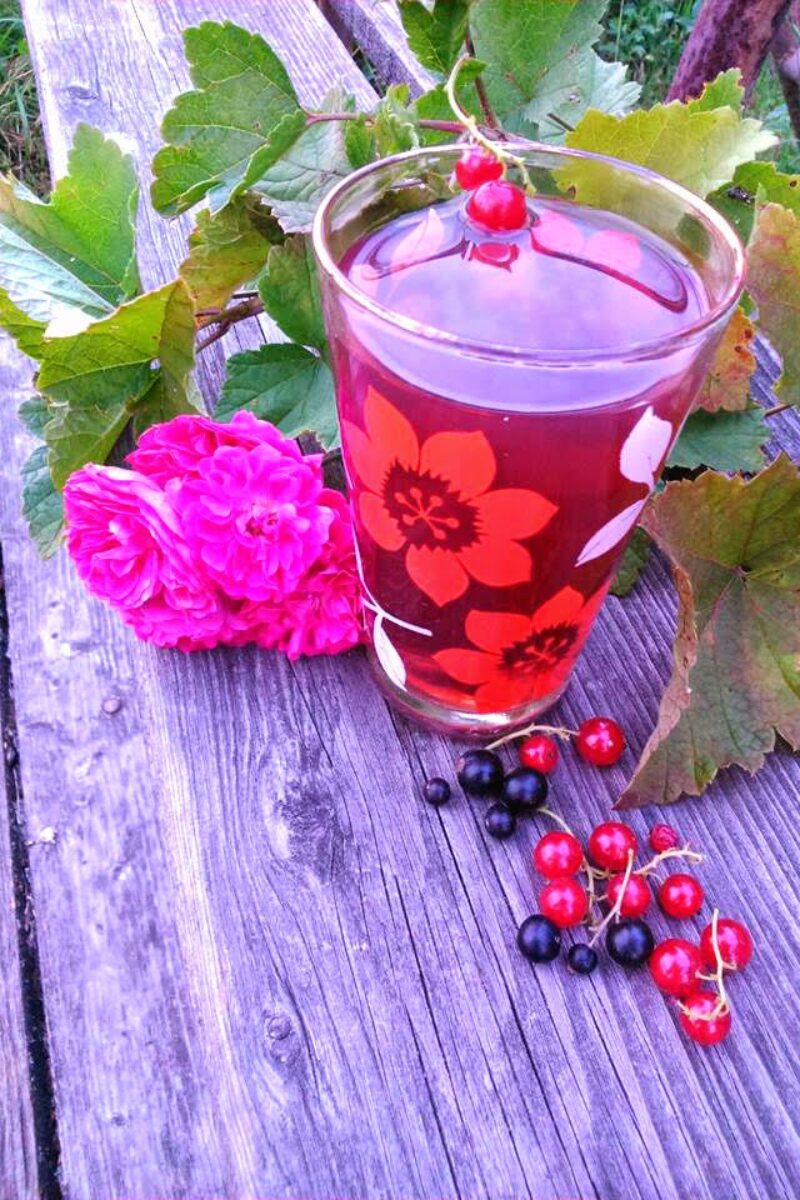 Kompot owocowy z waniliową nutką.